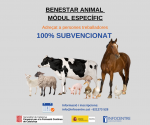Benestar animal Consorci: mòdul general + específic